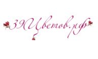 лого сайта 38цветов