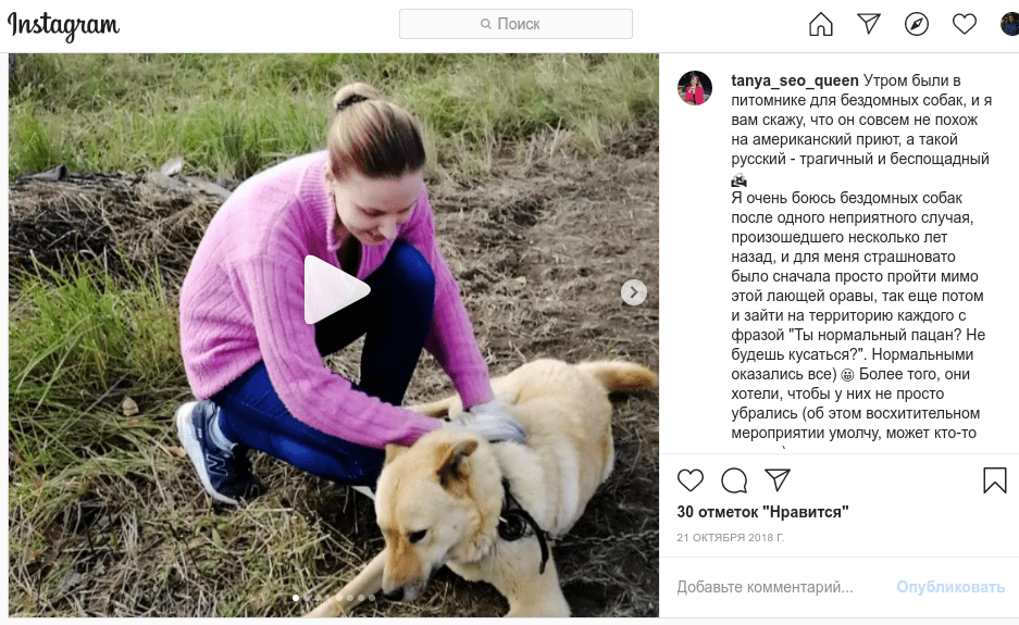 фото помощь клубу боксеров