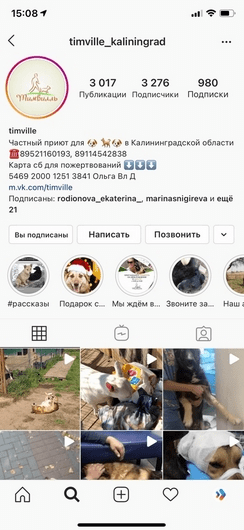 фото помощь приюту для собак