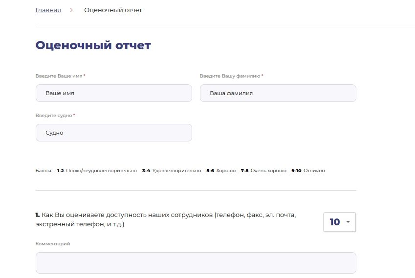 Пример оценочного отчета, разработанного для сайта