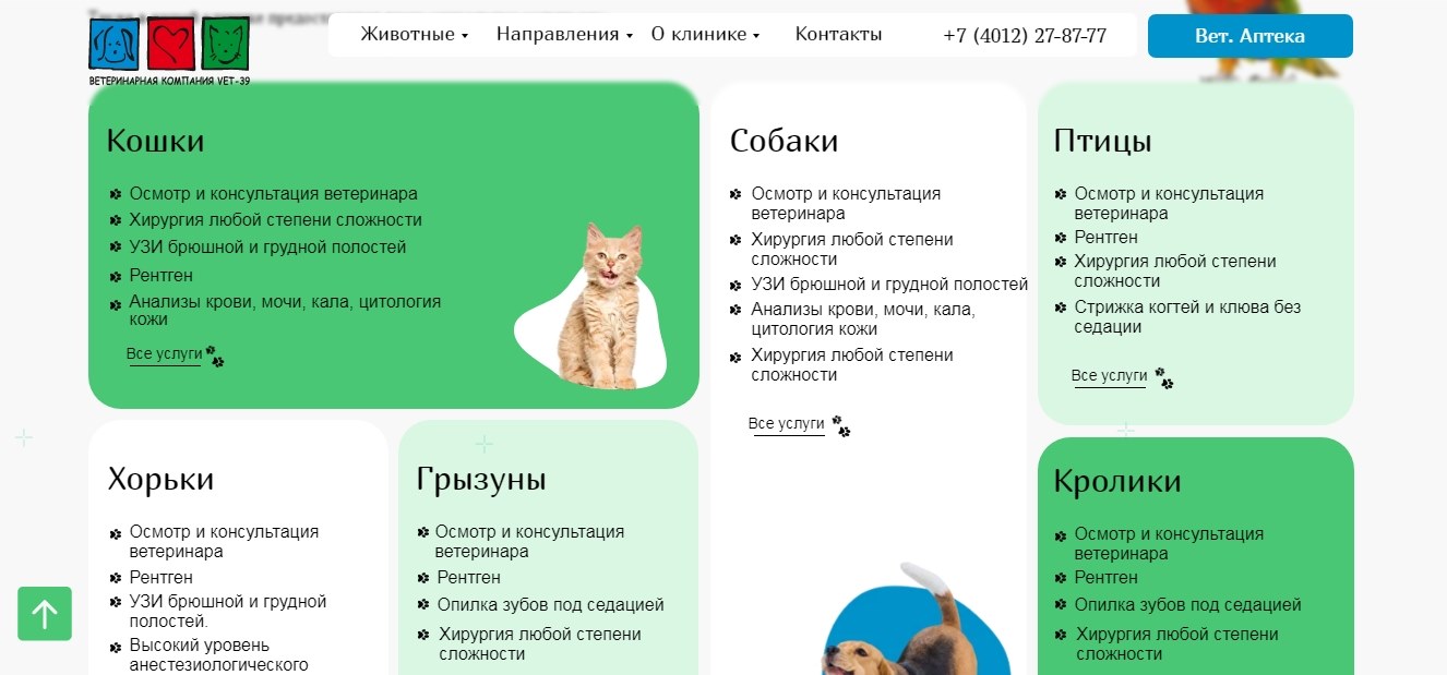 новый сайт